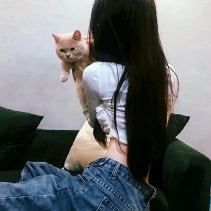 回溯